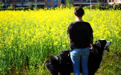 Il cane e la città